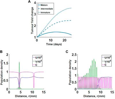 Modelling oncolytic virus diffusion in collagen-dense tumours